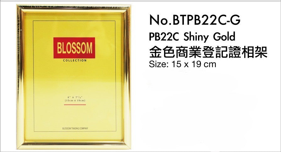 商業登記證相架 BR Frame [金 GOLD / 銀 SILVER | BTPB22C-G/S]
