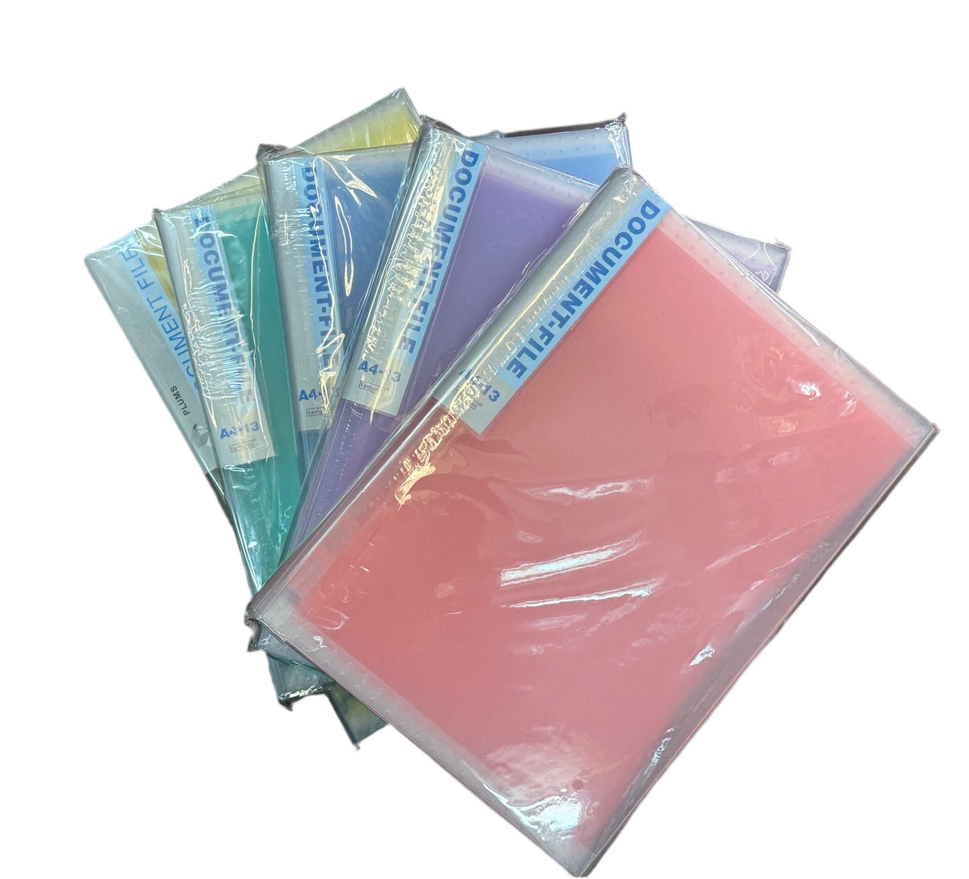 Plums / 金時利 透明風琴袋 12-Layer Expanding File |A4 / F4|