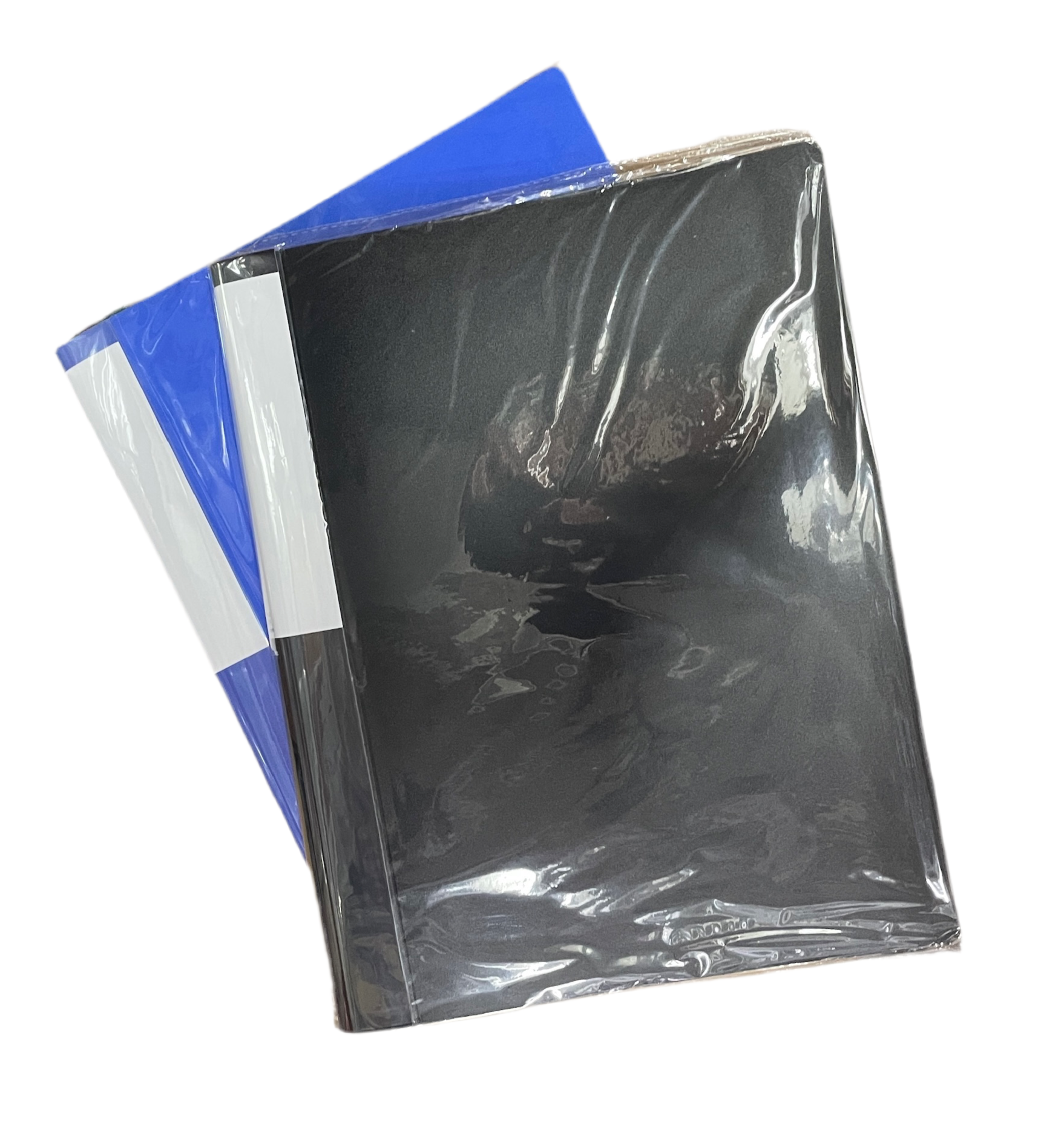 Plums A4 資料簿 Clear book- 20 Pockets (QQ20AP) (實色款)